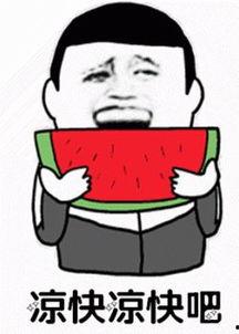 娱乐吃瓜君吐槽二豆